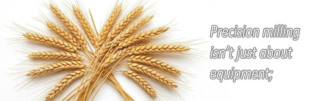 Wheat Milling-1