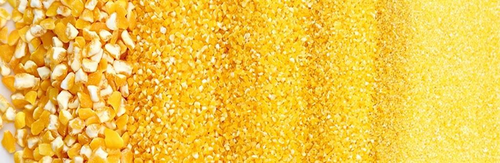 Maize Milling-1