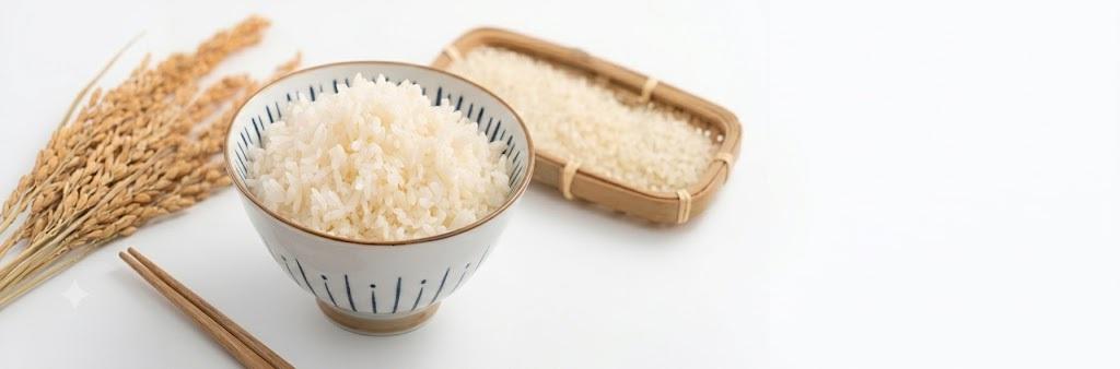 Rice & Paddy Process-1