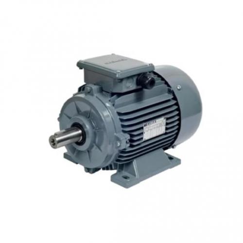 Electric motor