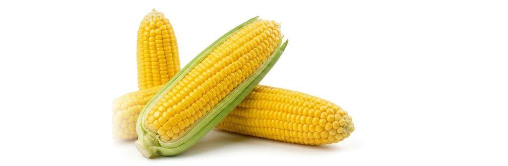 Maize Milling-1